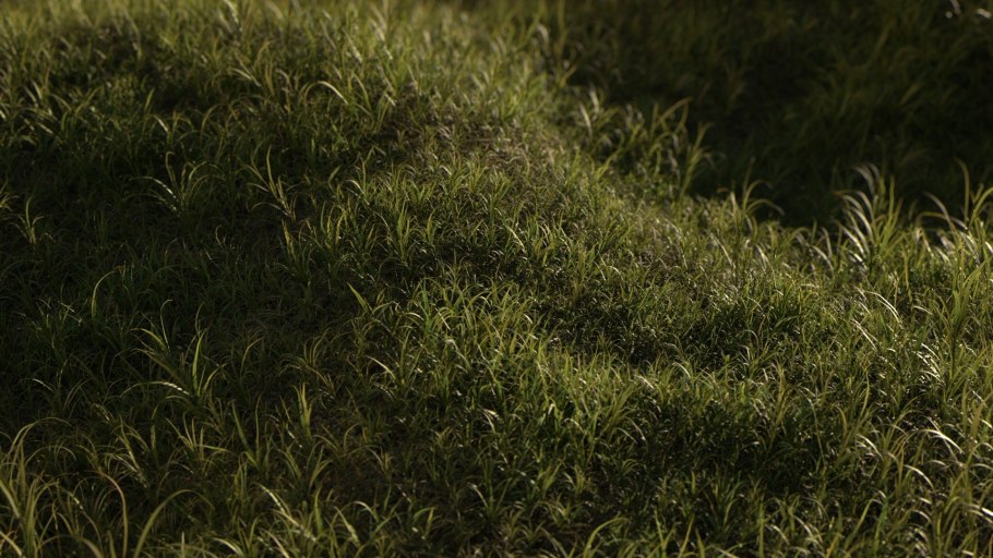 Первая зеленая травка