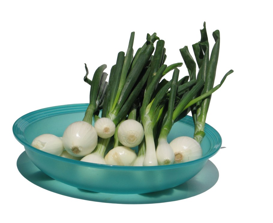 Лук на перо