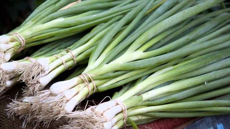 Лук зеленый