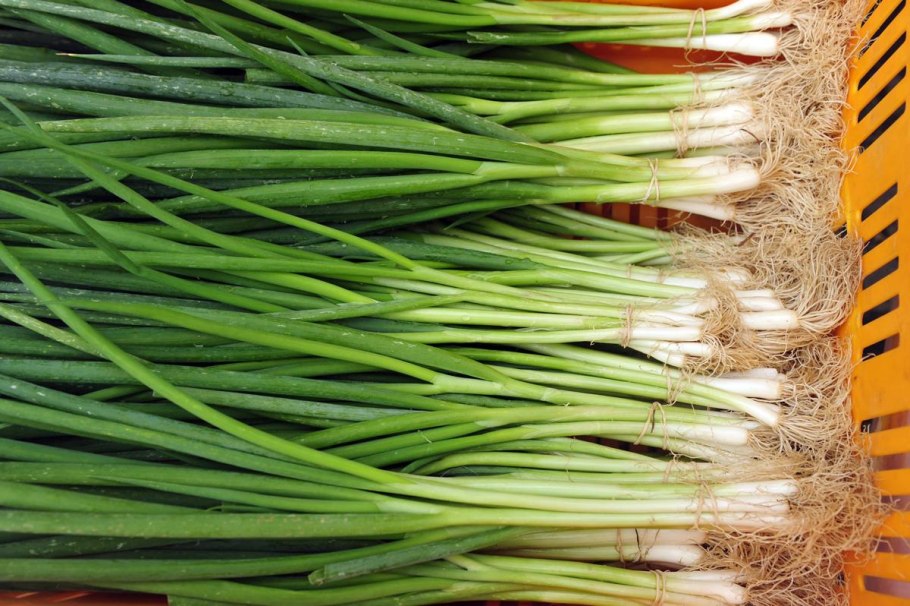 Лук батун Грин баннер