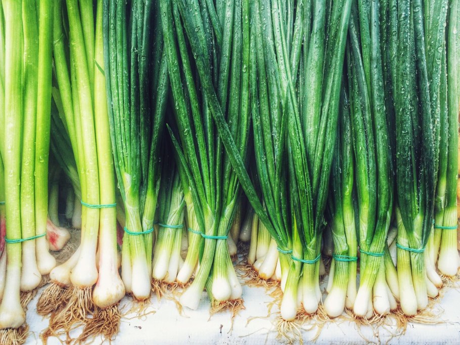 Лук Allium Cepa белый