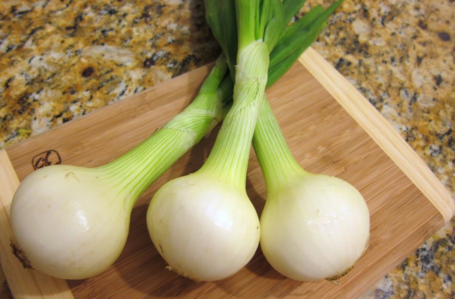 Молодой лук