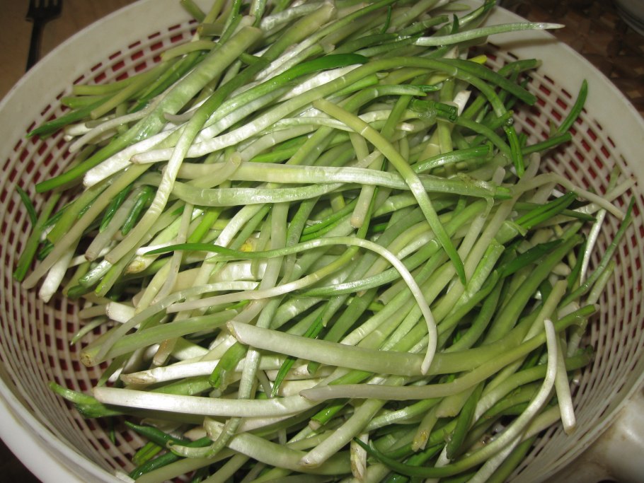 Черемша на Кавказе