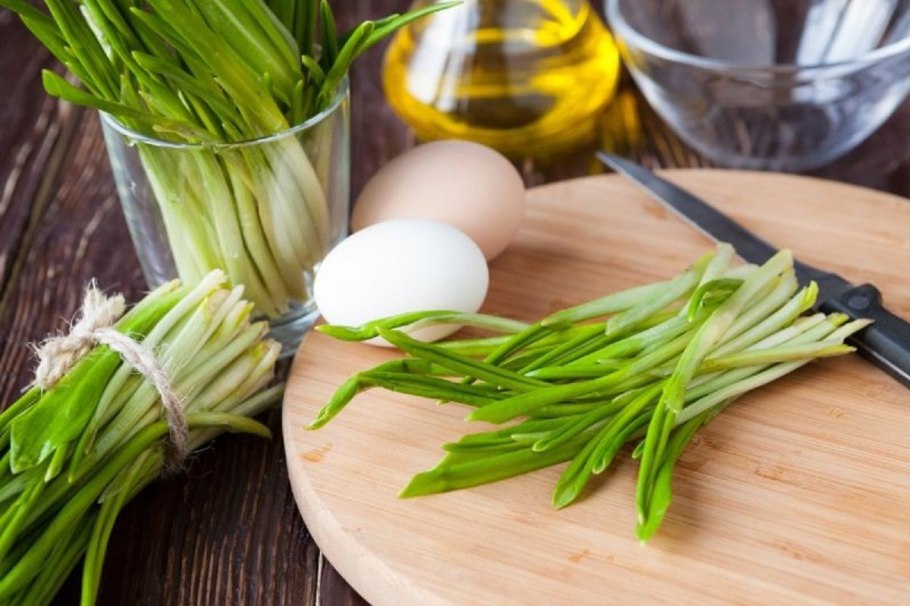 Черемша Лесная