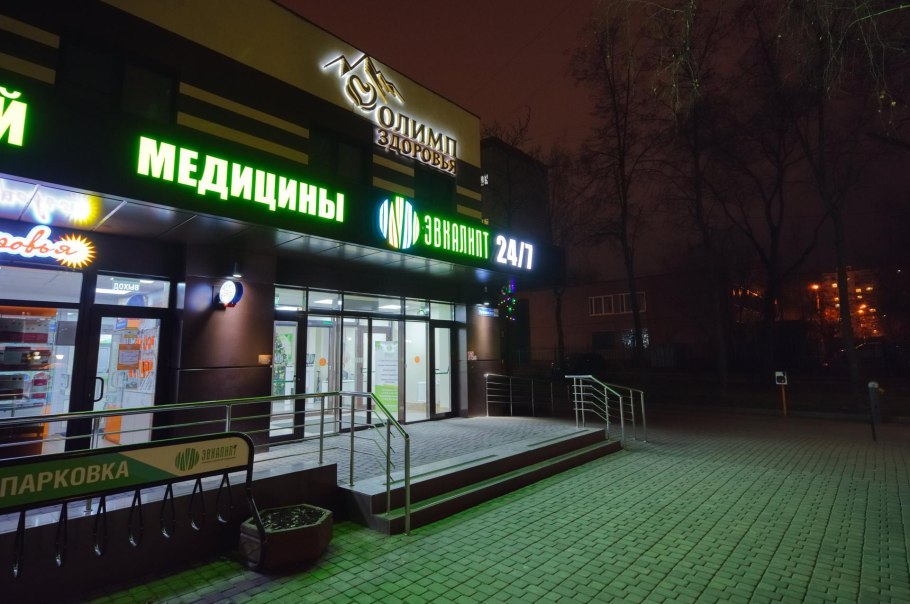 Эвкалипт Воронеж Путиловская 19