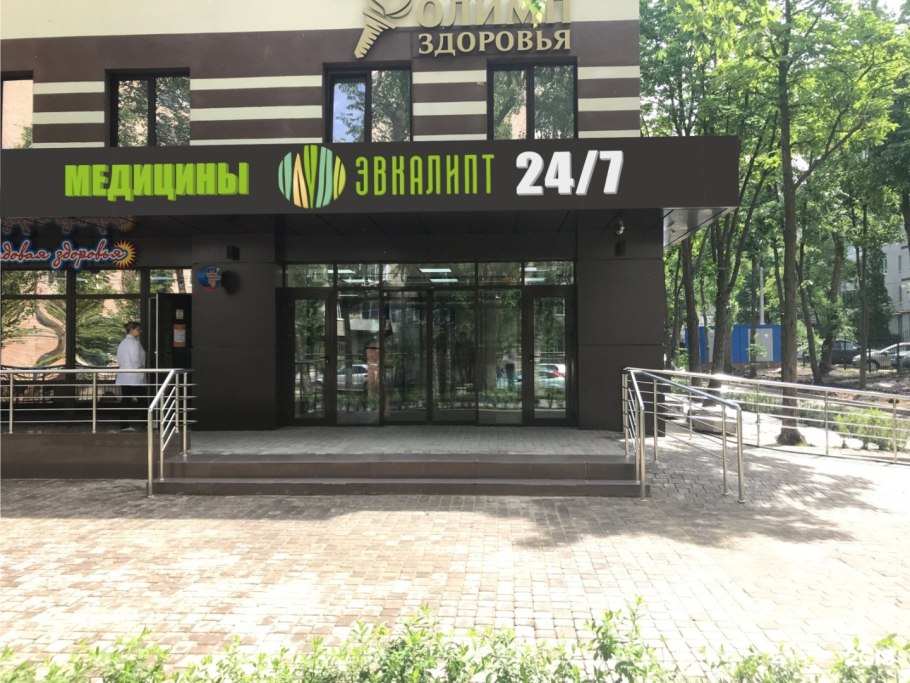 Эвкалипт Тасманский