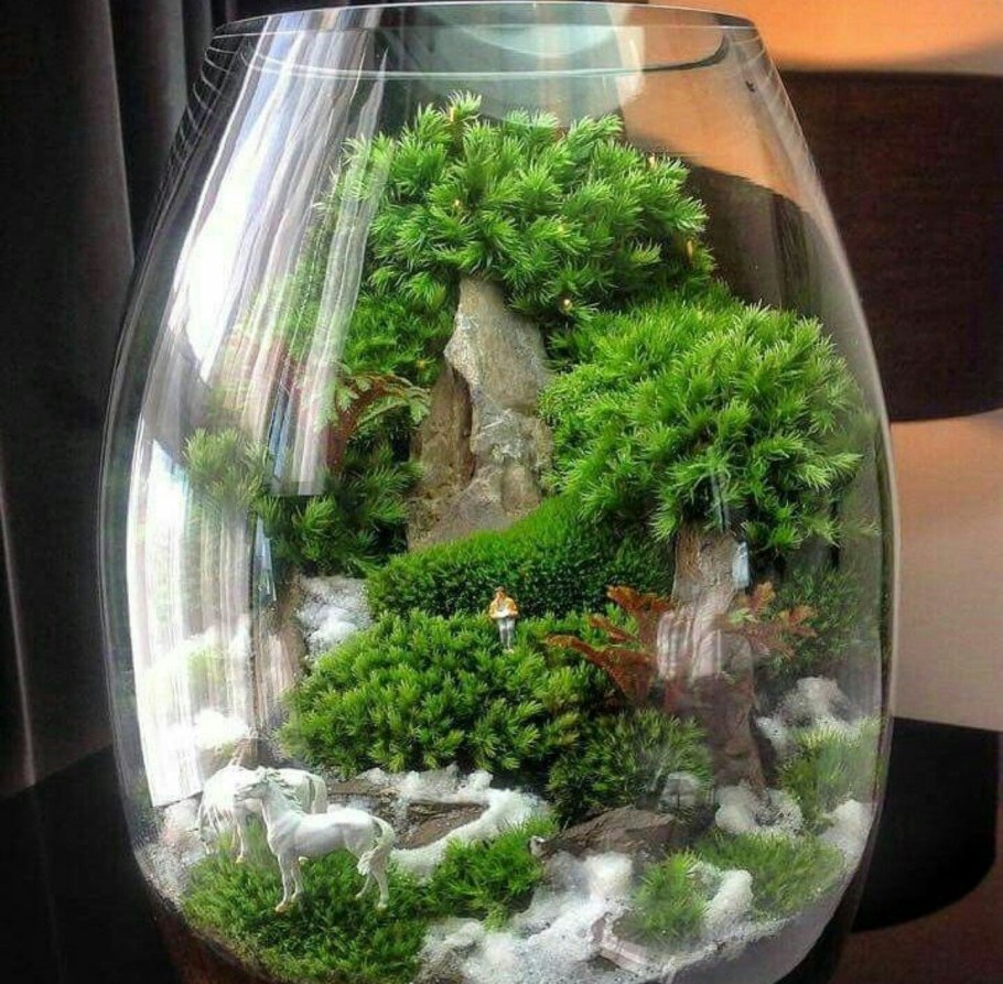 Риккардия флорариум