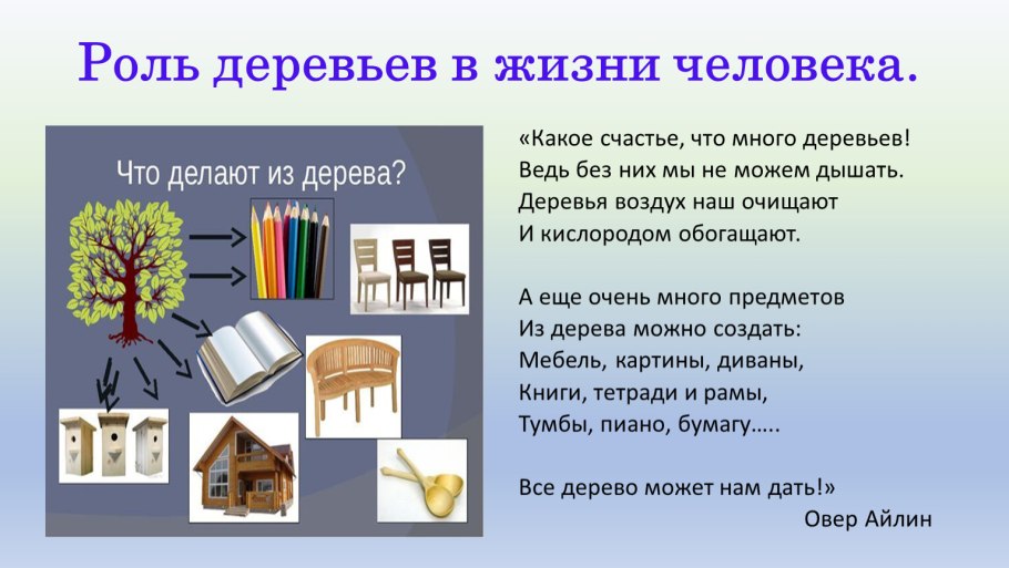 Роль деревьев в жизни человека