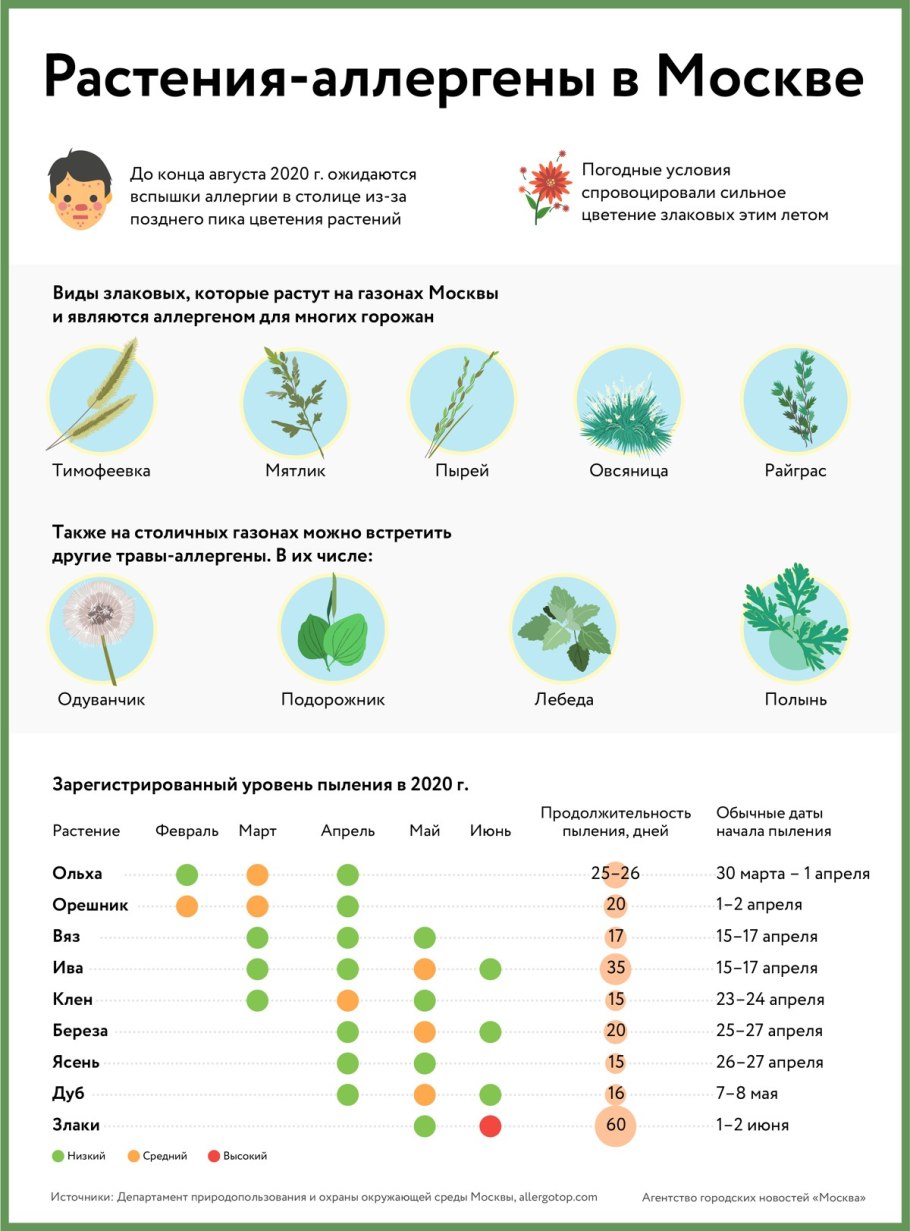 Цветение аллергенов в Москве 2020