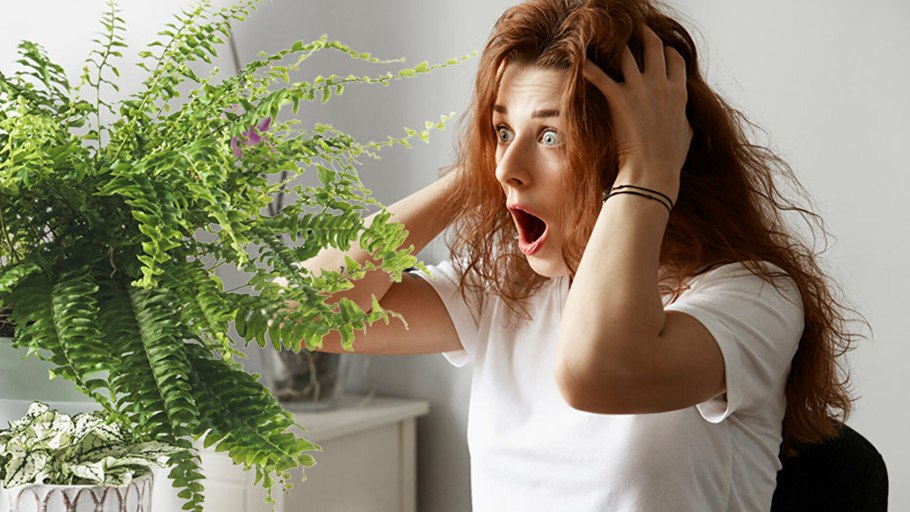 Аллергены лекарственных растений