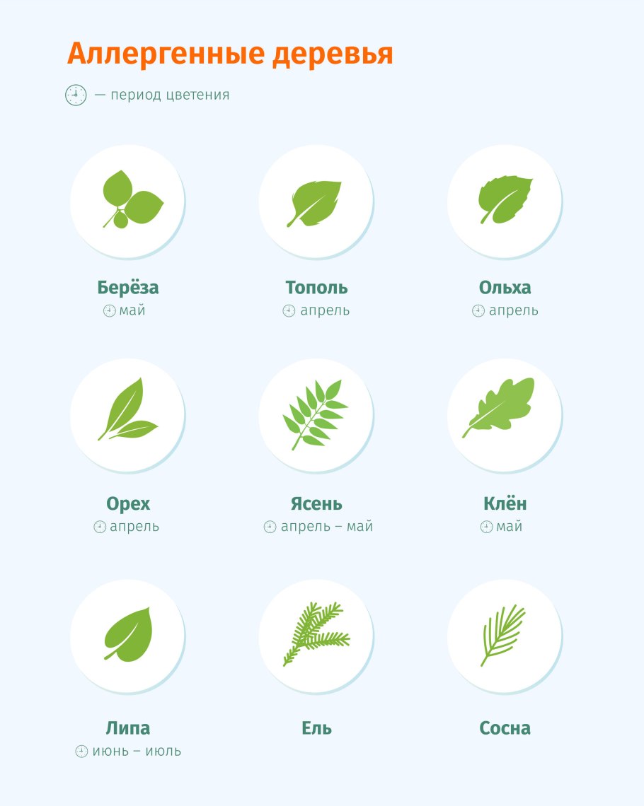 Деревья вызывающие аллергию
