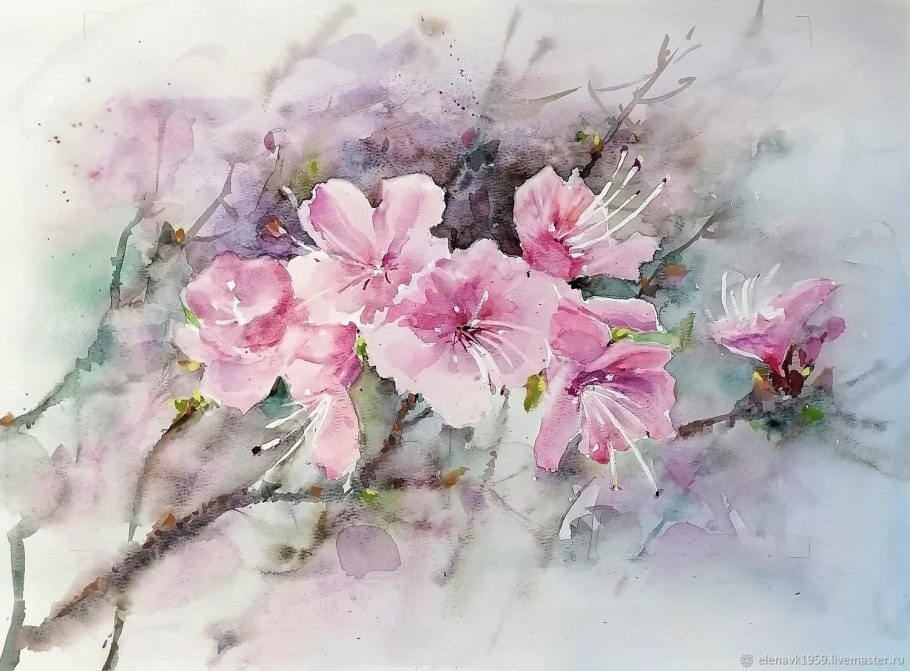 Багульник акварель