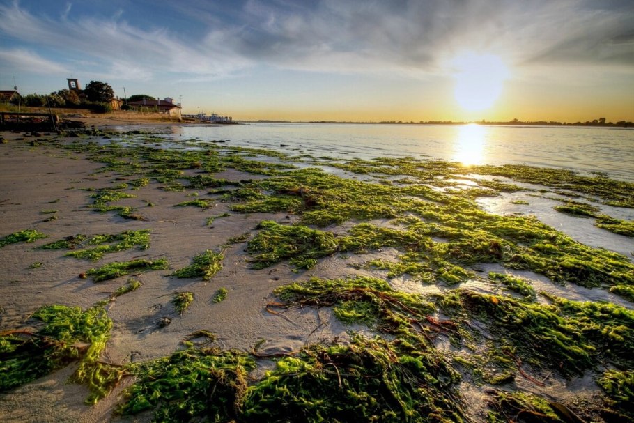 Варна Болгария природа