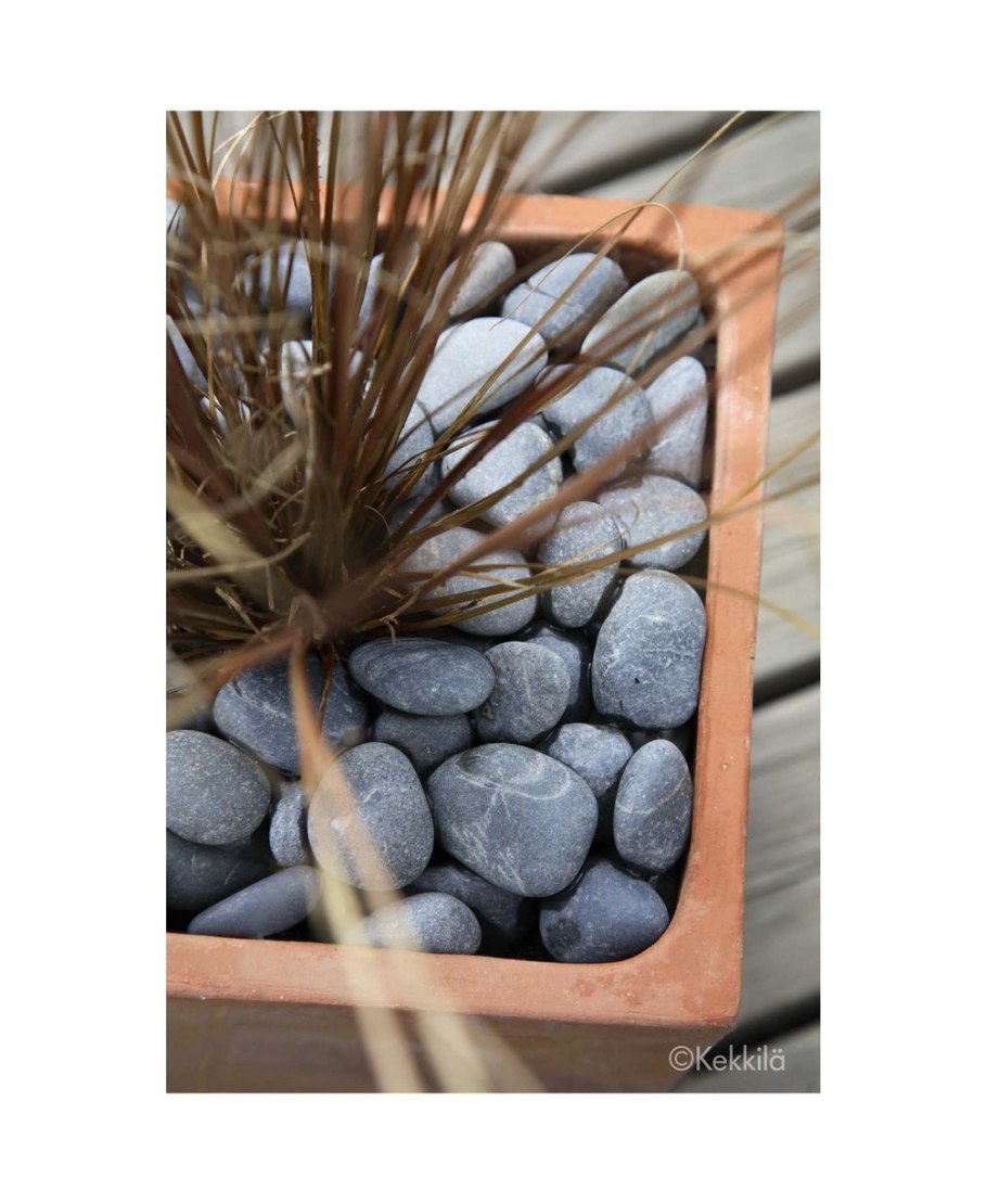 Декоративные камни для саженцев