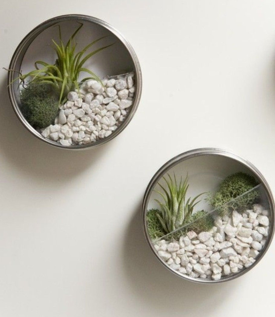 Флорариум икеа