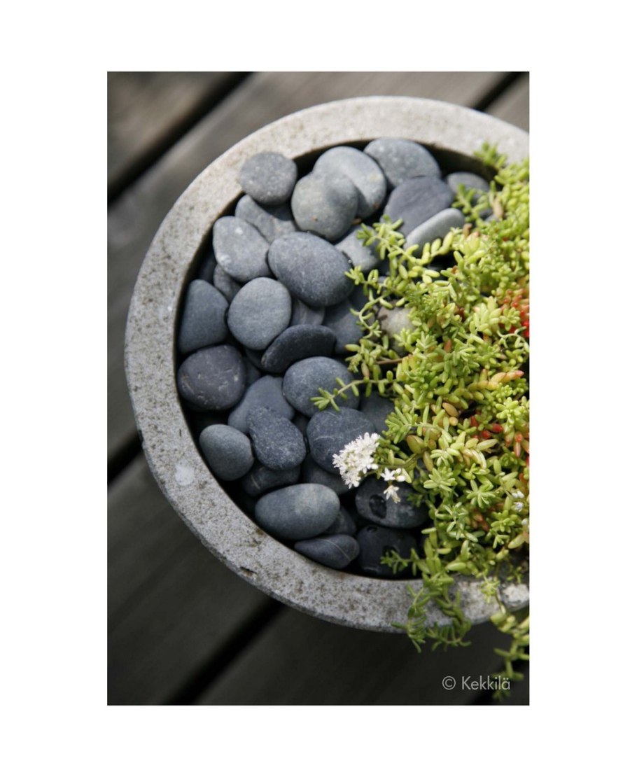 Галька для цветов