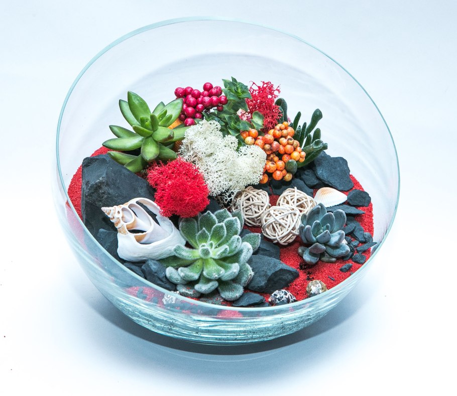 Флорариум с кактусами