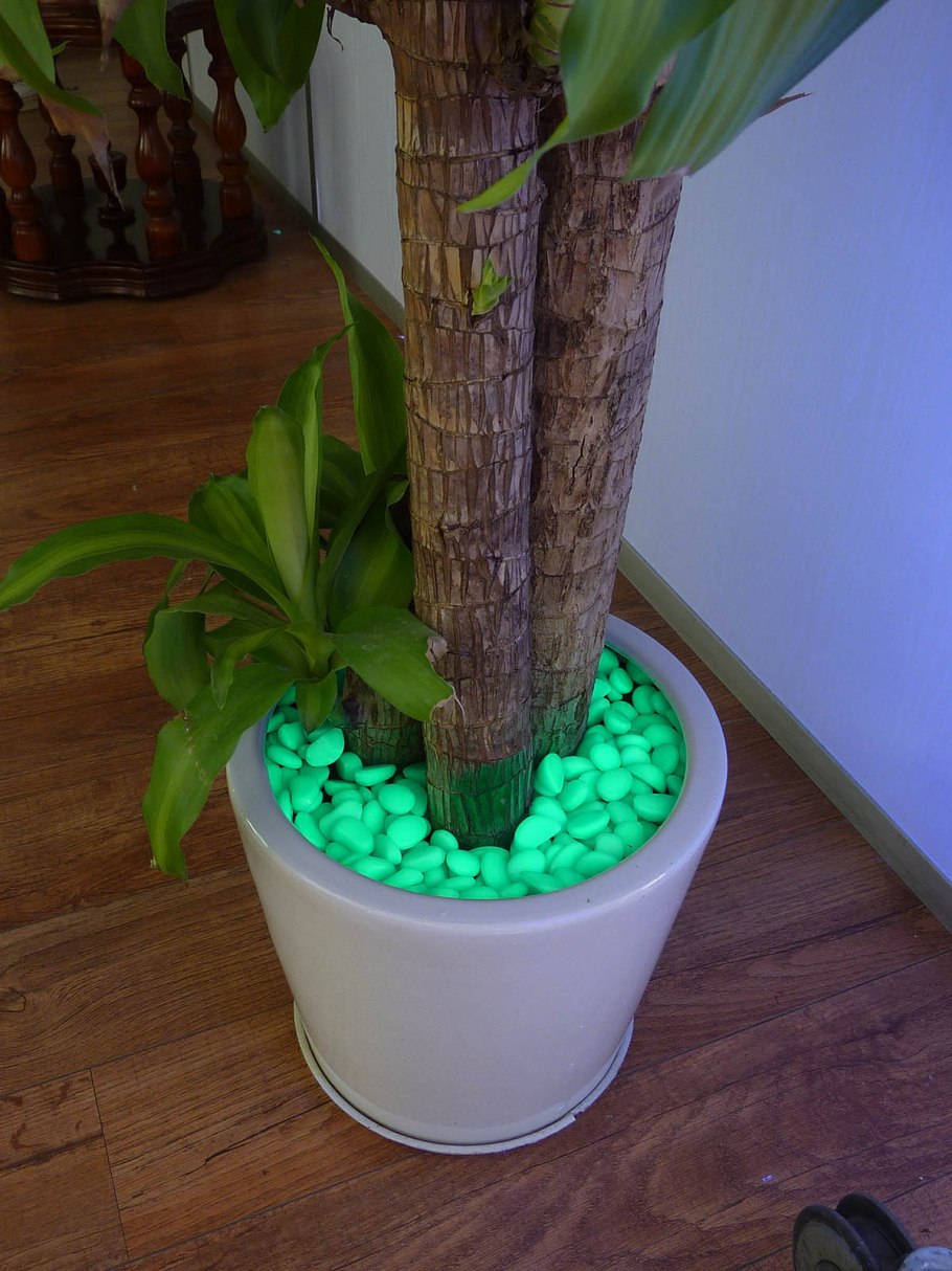 Камешки для цветов в горшках