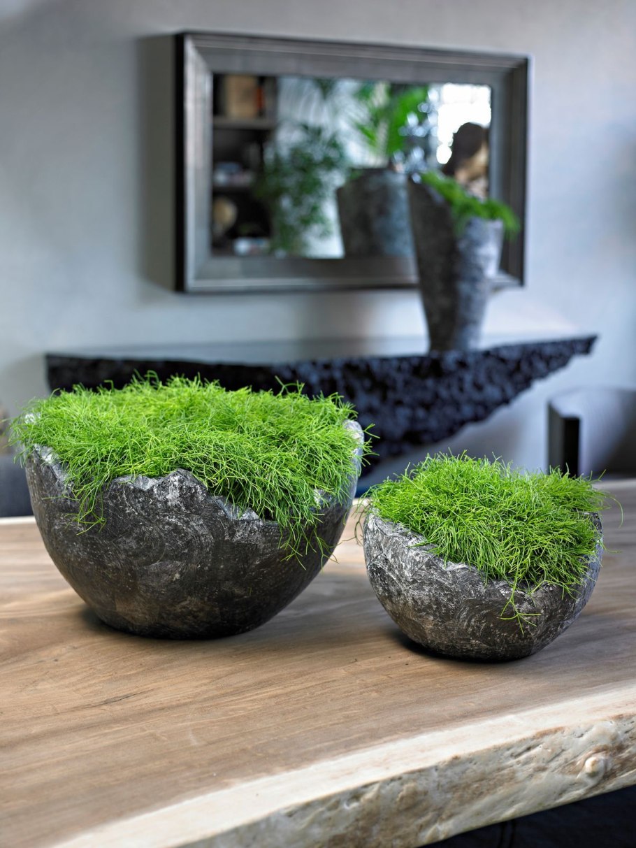 Мох ягель в интерьере