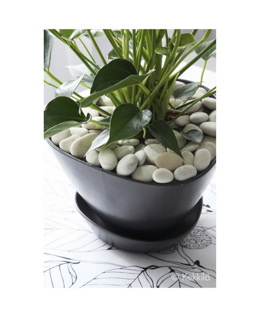 Галька для цветов в горшках