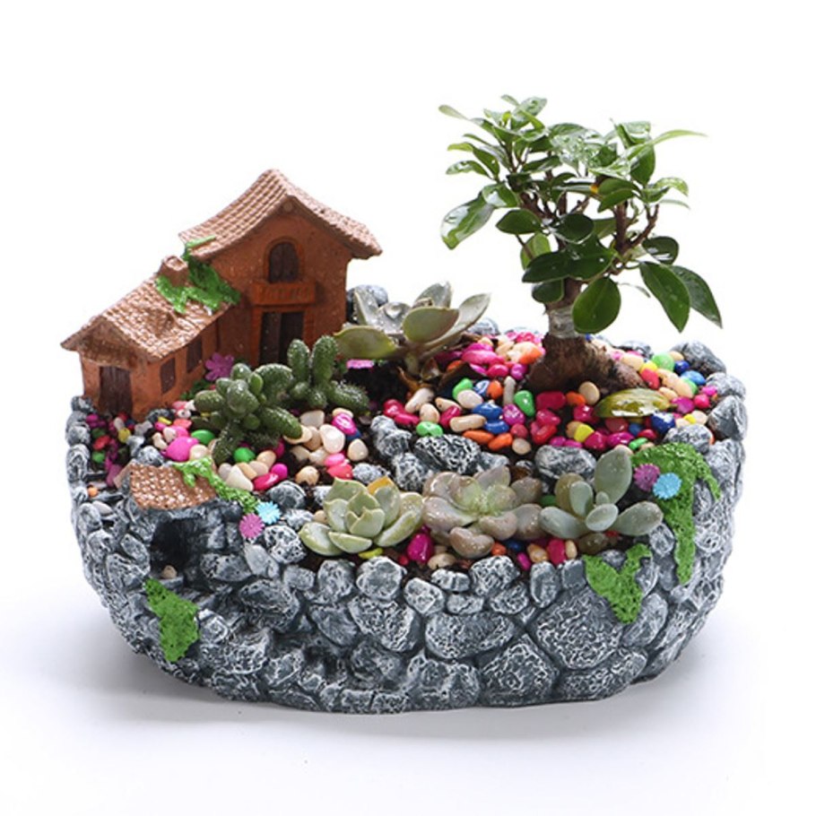 Мини сад в горшке