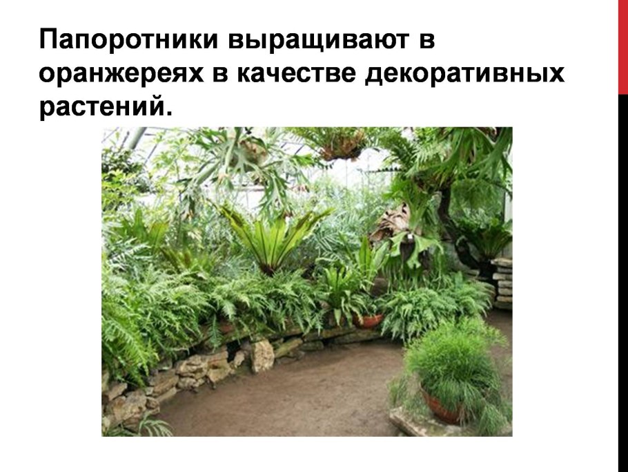 Строка поиска