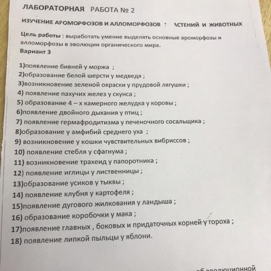 Основные ароморфозы растений и животных