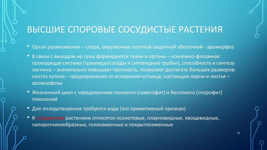 Мхи папоротники и водоросли доклад