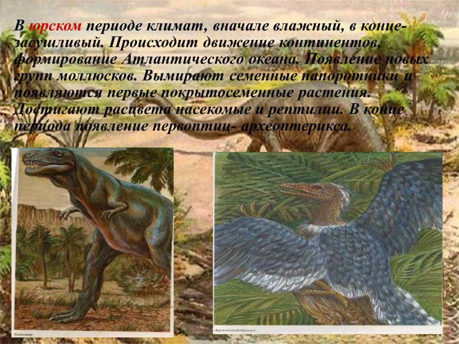 Брелок-пейджер Mongoose LS 9000d