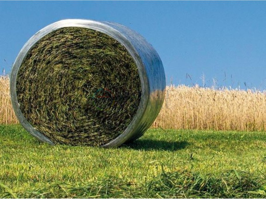 Сорняки на поле