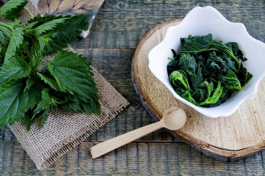 Крапива с темными листьями