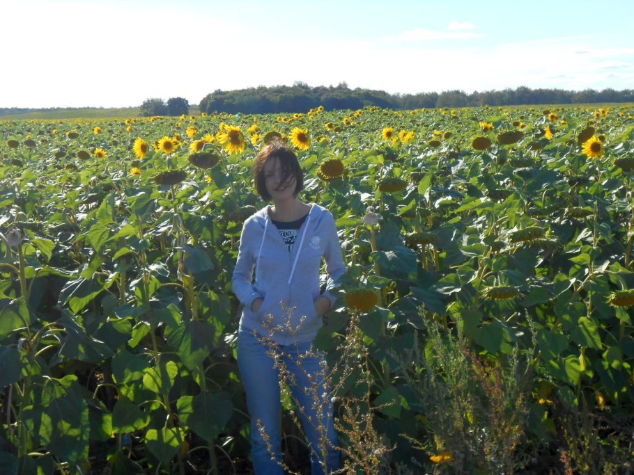 Семена подсолнечника Пионер 110