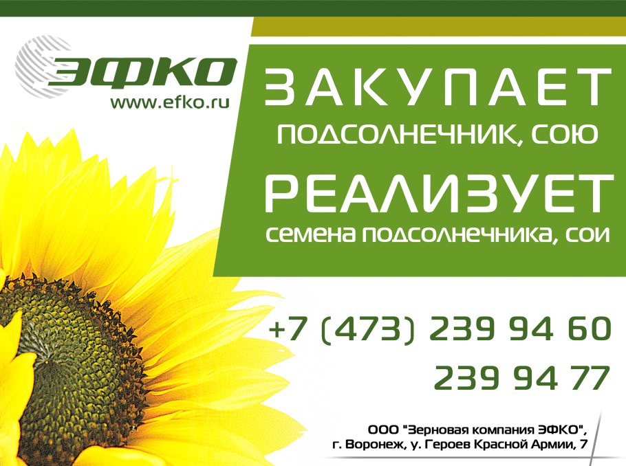 Зерновая компания ЭФКО