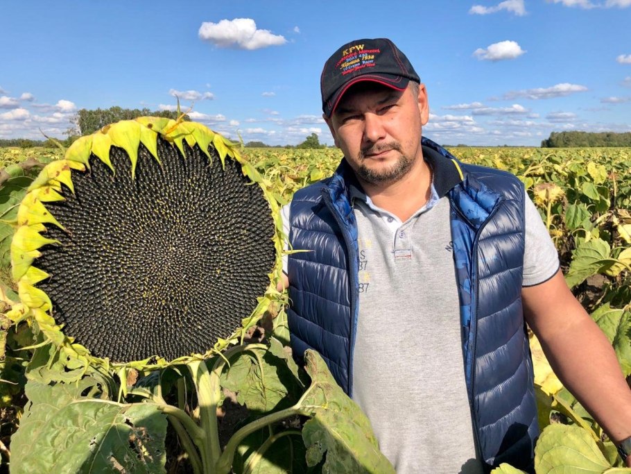 Реклама семян кукурузы