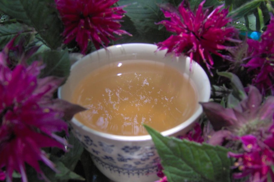 Чай из листьев монарды