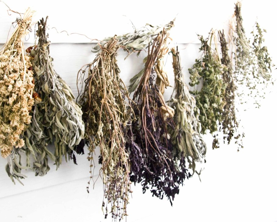 Полыни горькой трава сырье