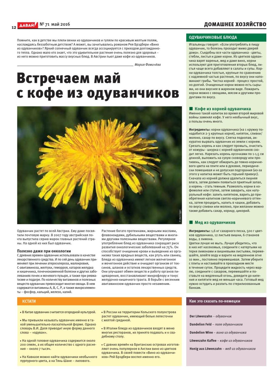 Видообразование биология