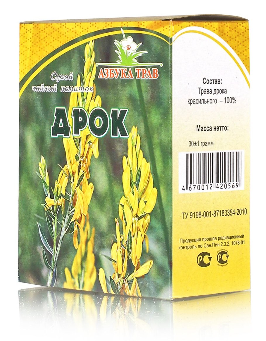 Дрок испанский кустарник