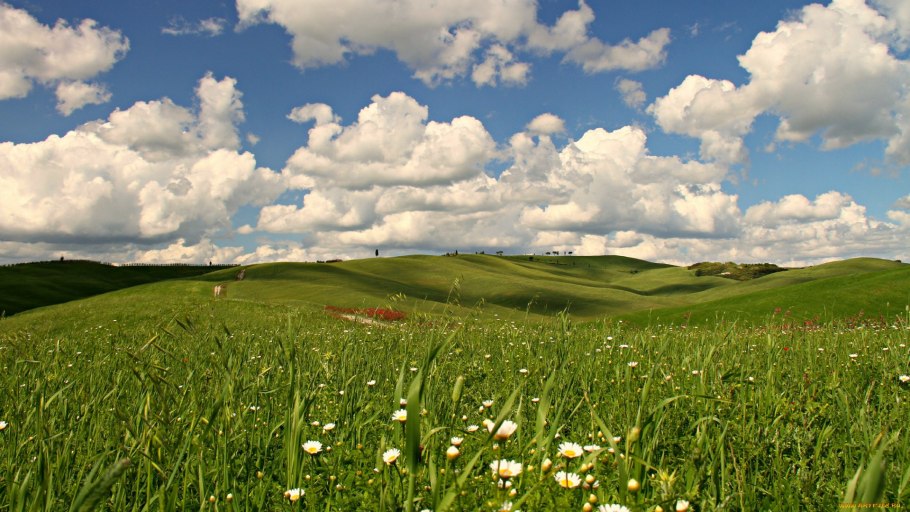 Девочка на лугу