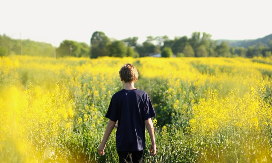 Весенний луг