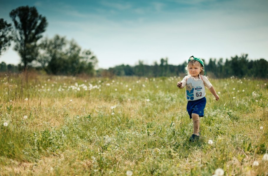 Туман в поле