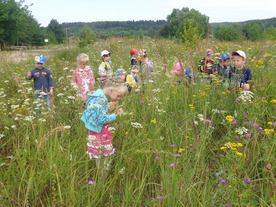 Прогулка на лугу