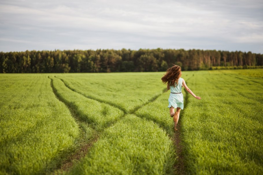 Прогулка по лугу