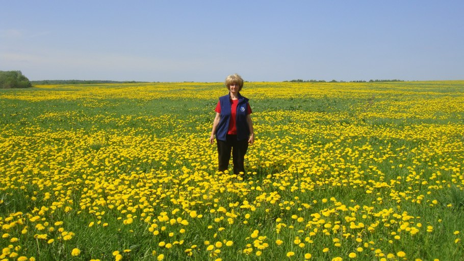 Счастливое детство на лугу