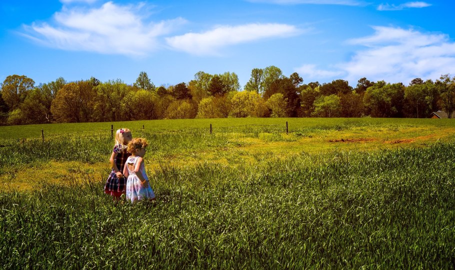 Мальчик в поле