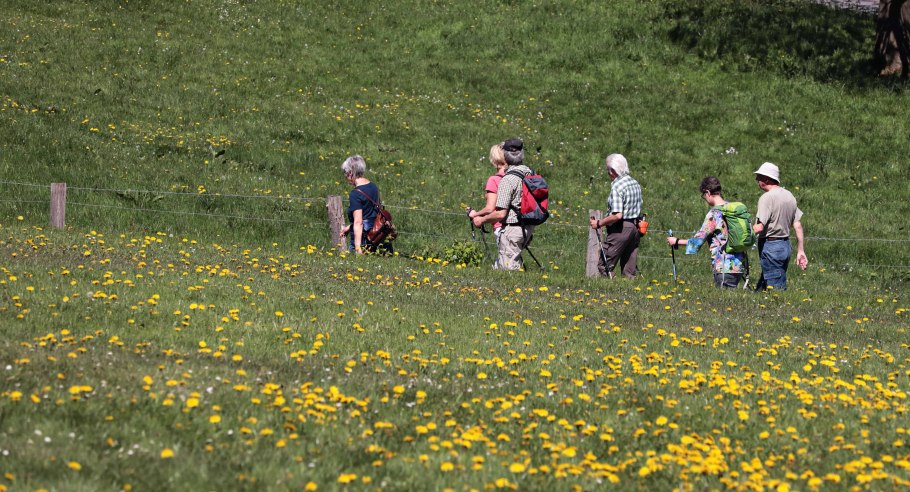 Рвать цветы
