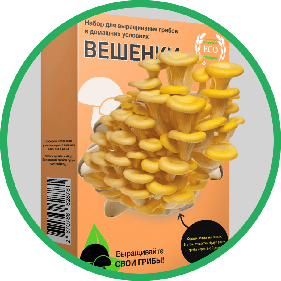 Грибы Ставропольского края 3 класс