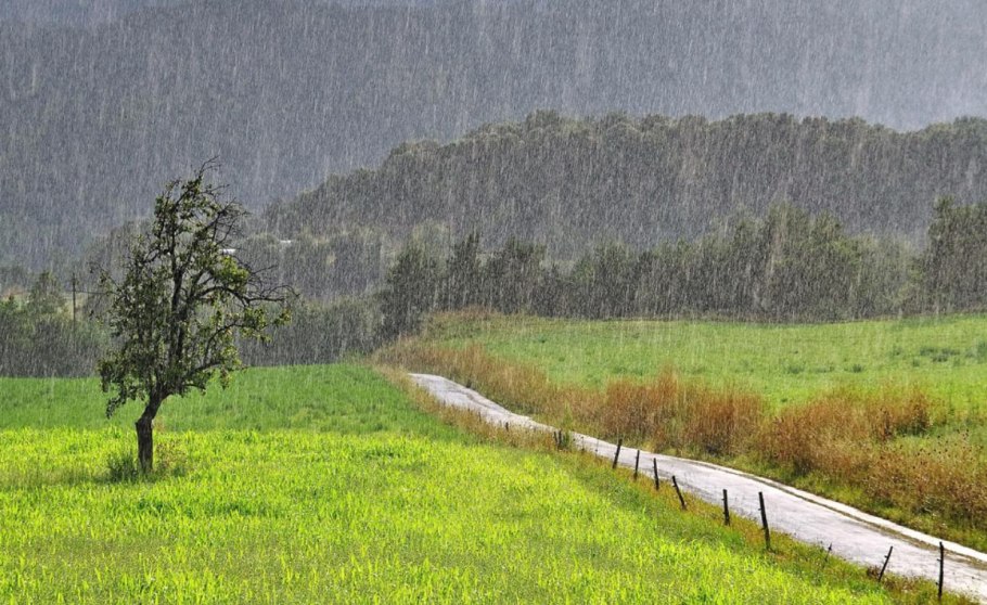 Луч солнца золотого