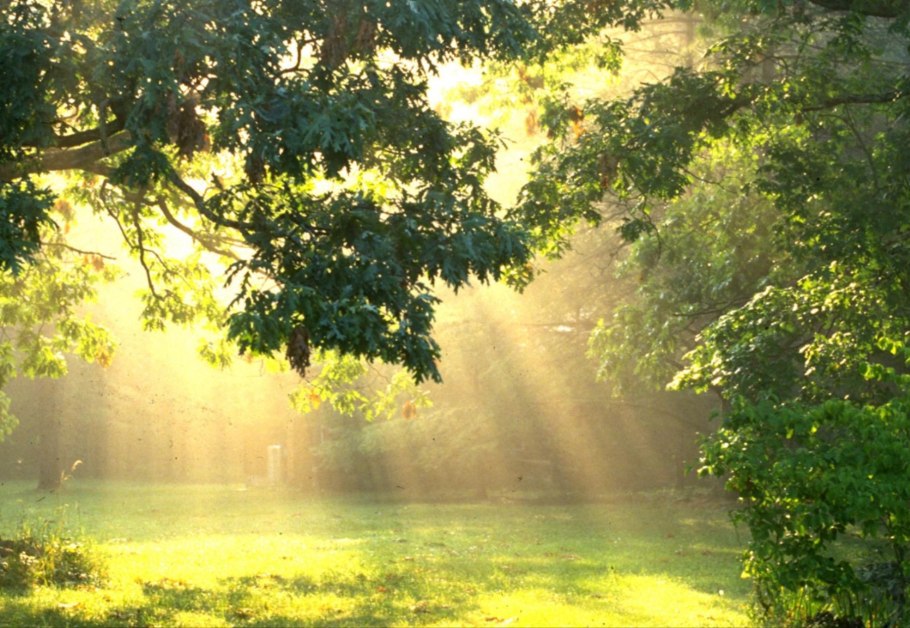 Солнечная тропинка