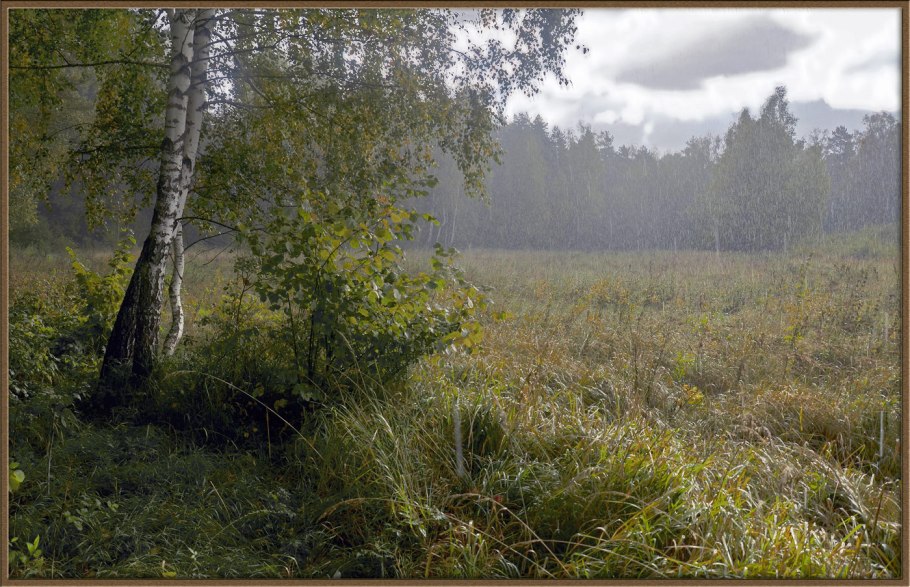 Восточный Казахстан лес лужайка